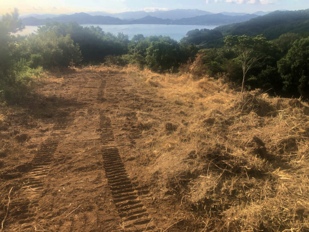 雑木・雑草除去