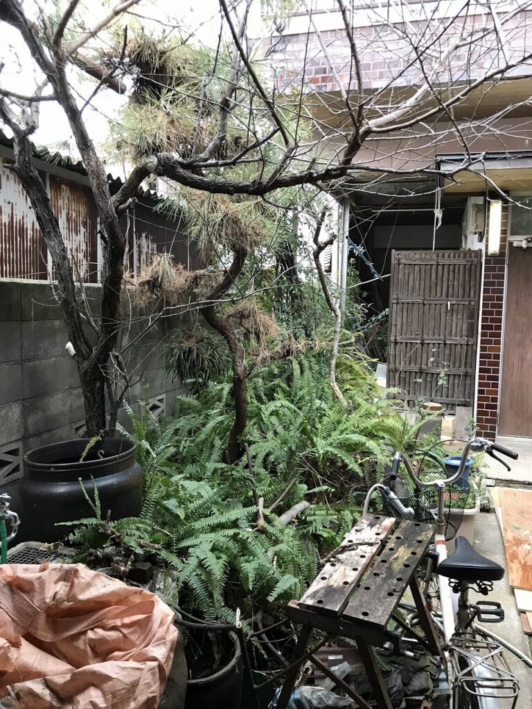 正面玄関伐採前