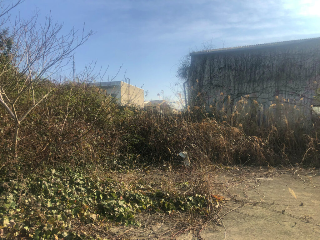 RC住居南側　工事前