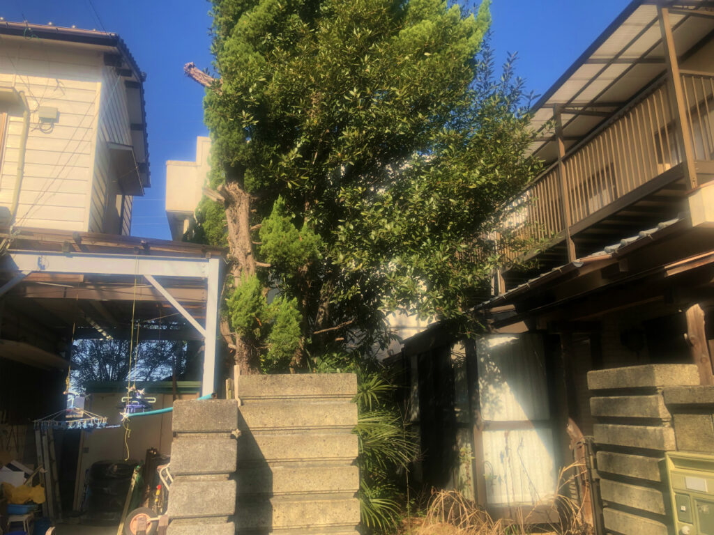 東側木造住居　工事前