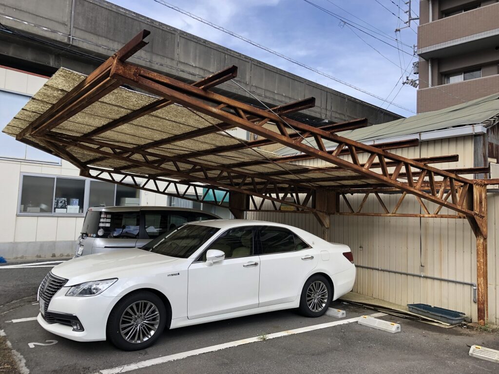 現地調査と応急処置