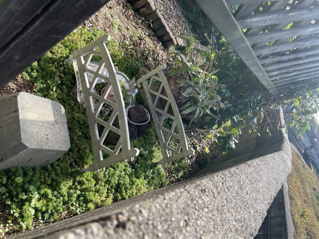 ブロック壁内側状況