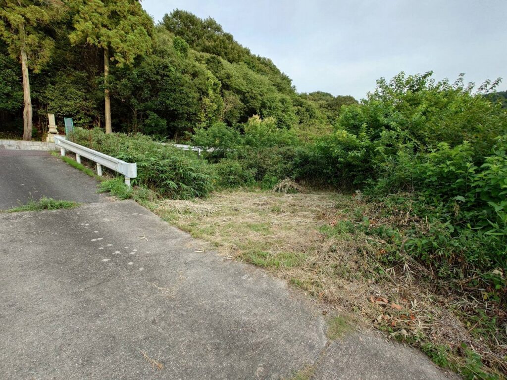 畑の伐採前状況