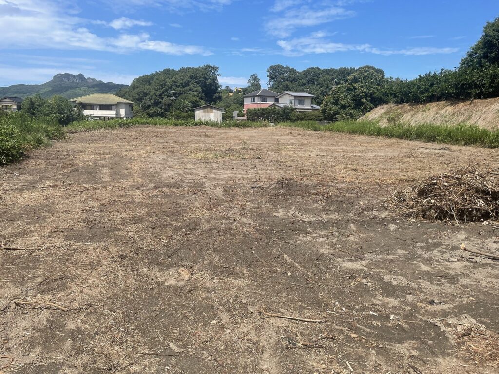 畑の草刈り(除草)