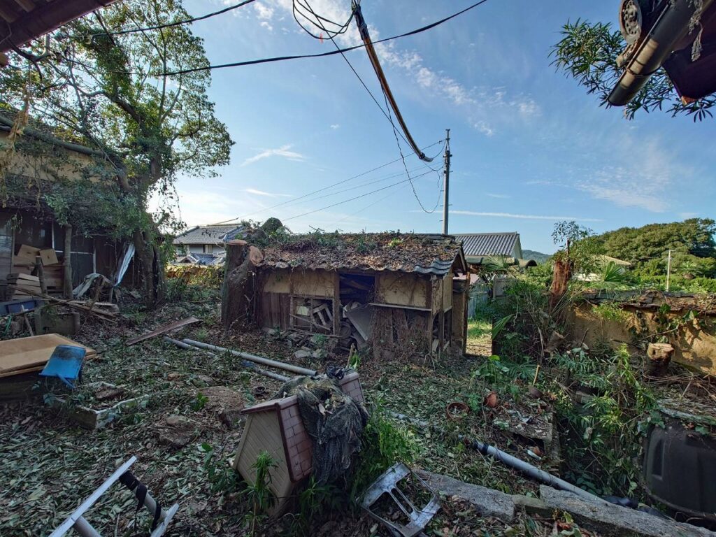 北側敷地内伐採状況