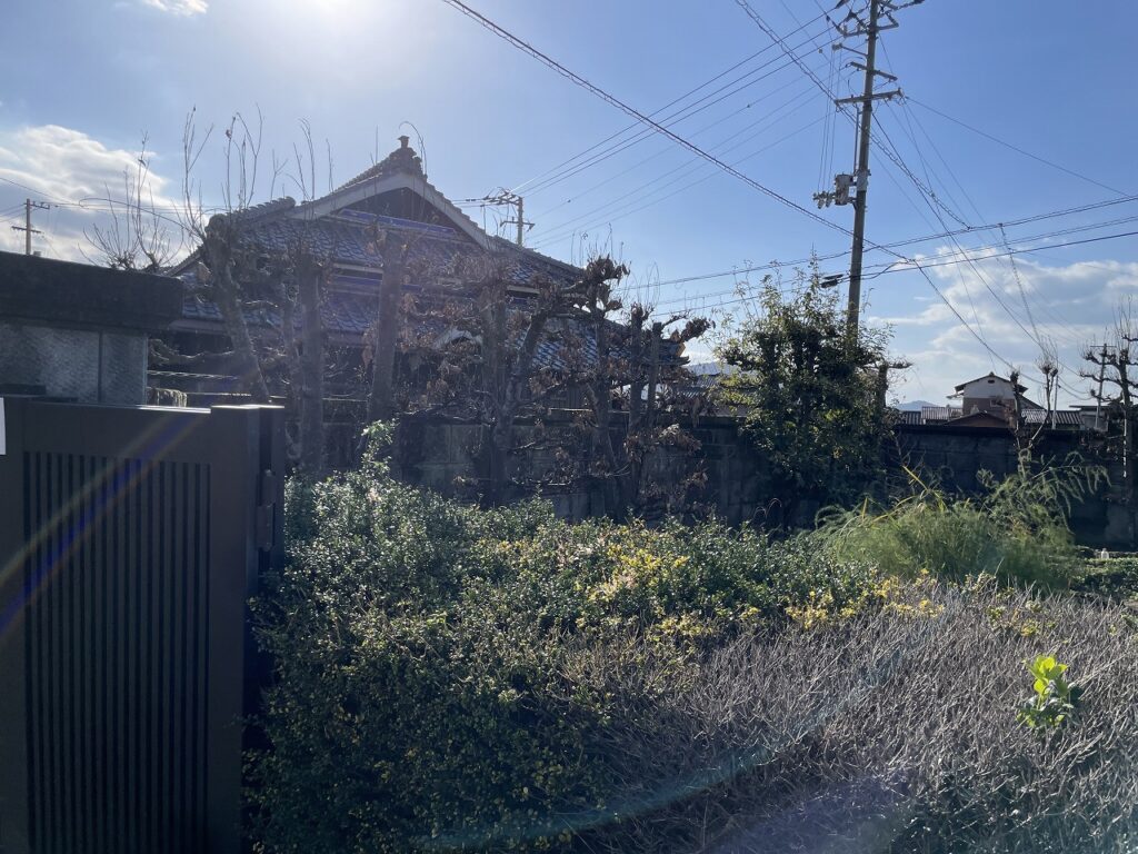 枝打ち・伐採工事前(南側)