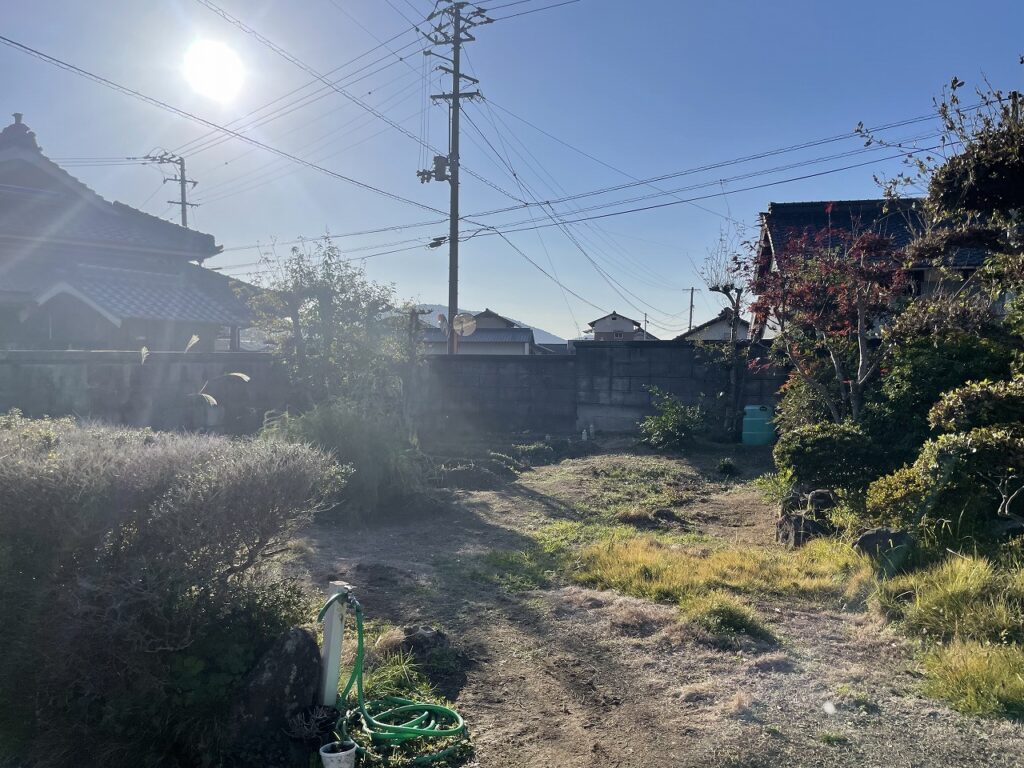 2日目西側南半分の木の伐採