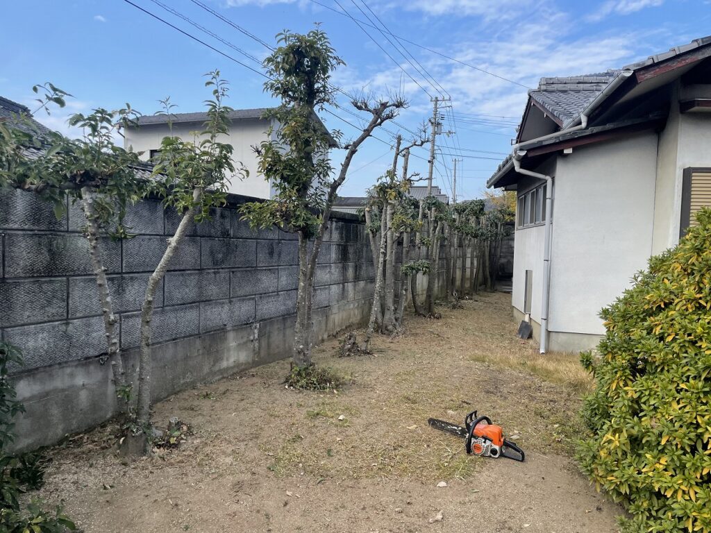 西側北半分の伐採