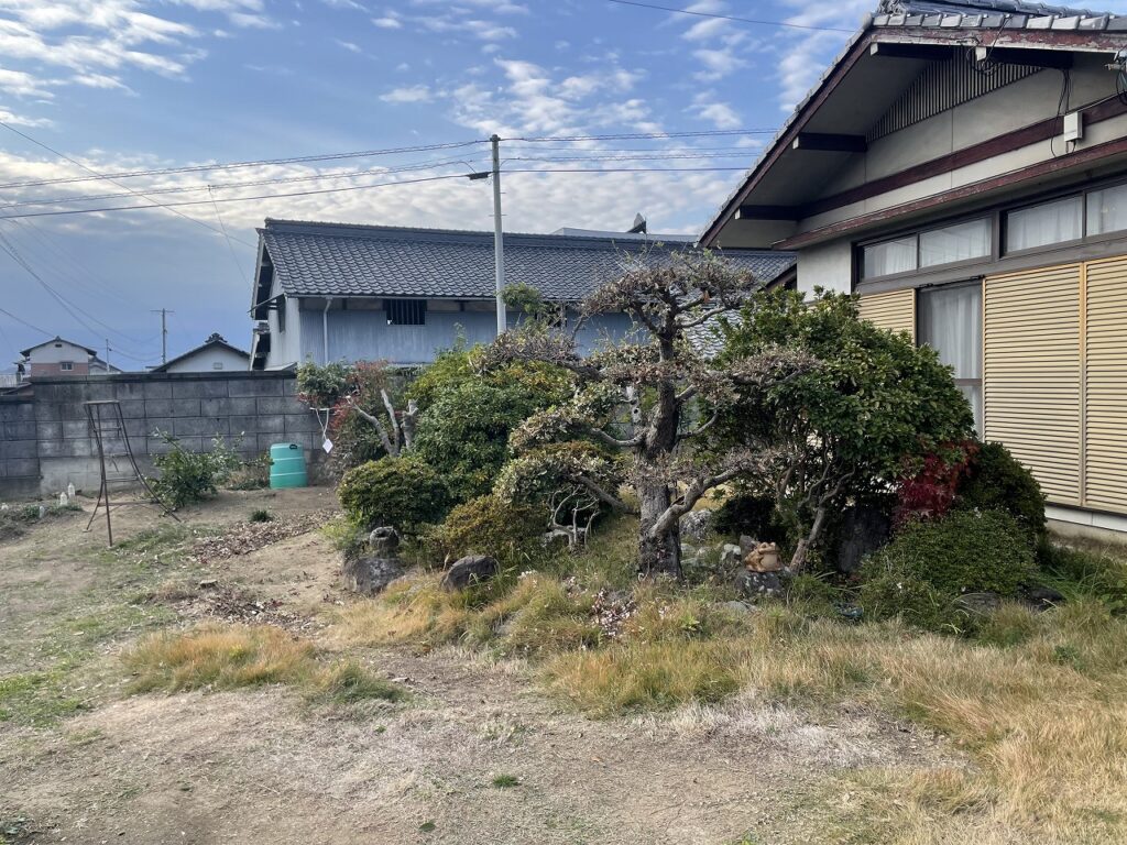 枝打ち・伐採工事完了(中央～西側)