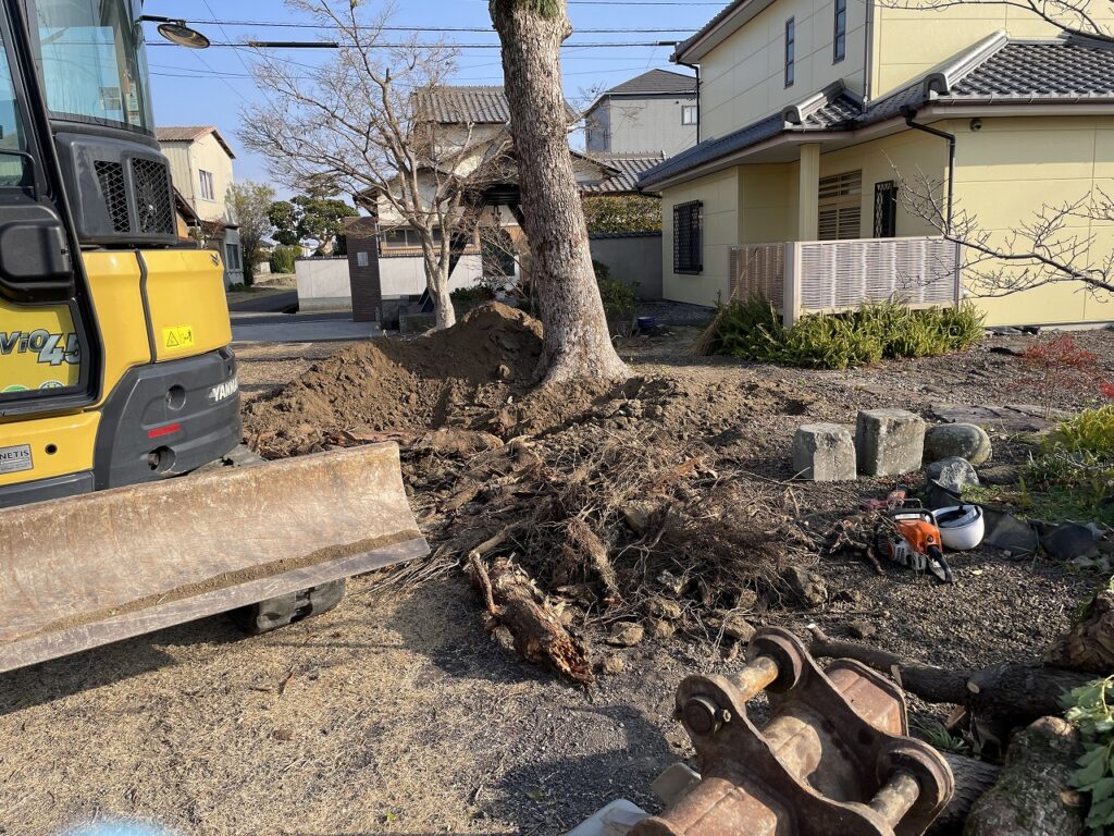 庭木の伐採
