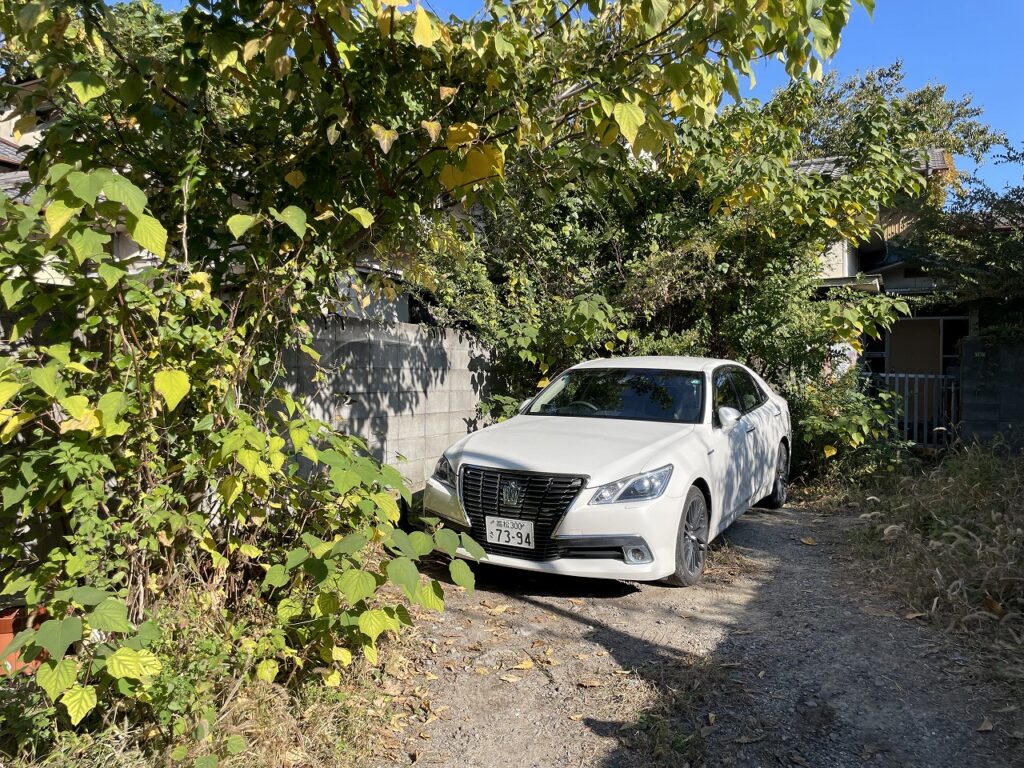 伐採・草刈り工事前