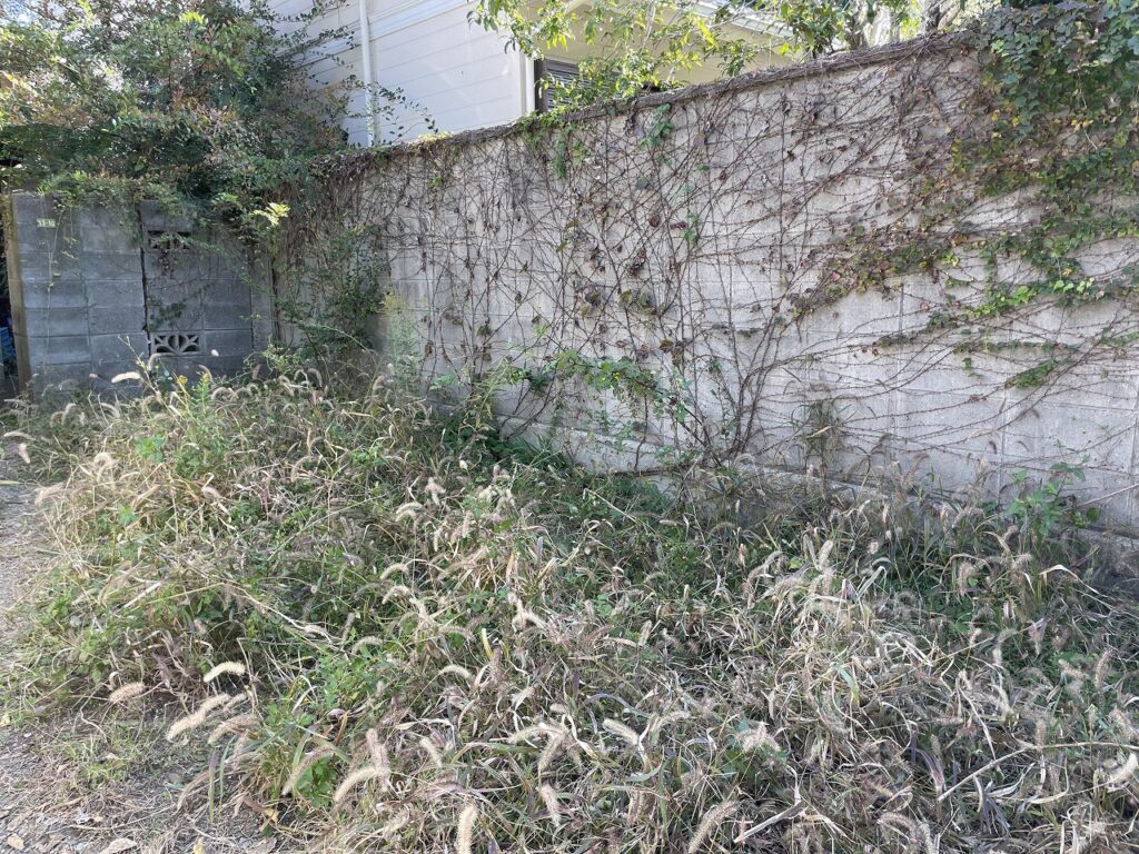 伐採・草刈り工事前