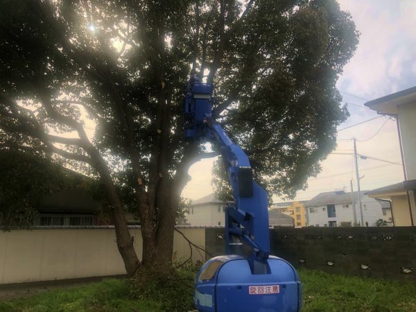 小型高所作業車を活用