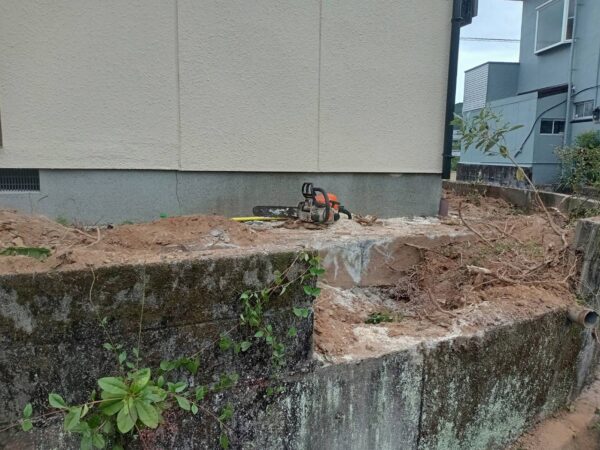 ブロック塀の撤去