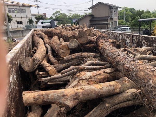 原木の再資源化