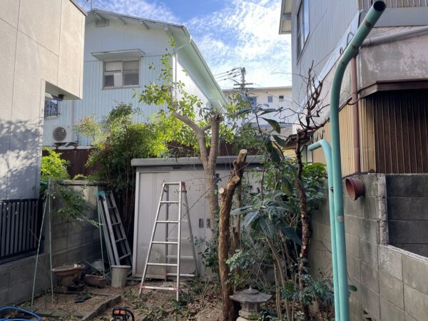 枝打ち・伐採完了