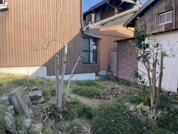 追加部分の伐採