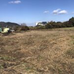 伐採・造成工事完了