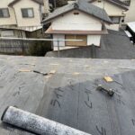 ルーフィング張り完了