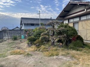 枝打ち・伐採工事完了(中央～西側)