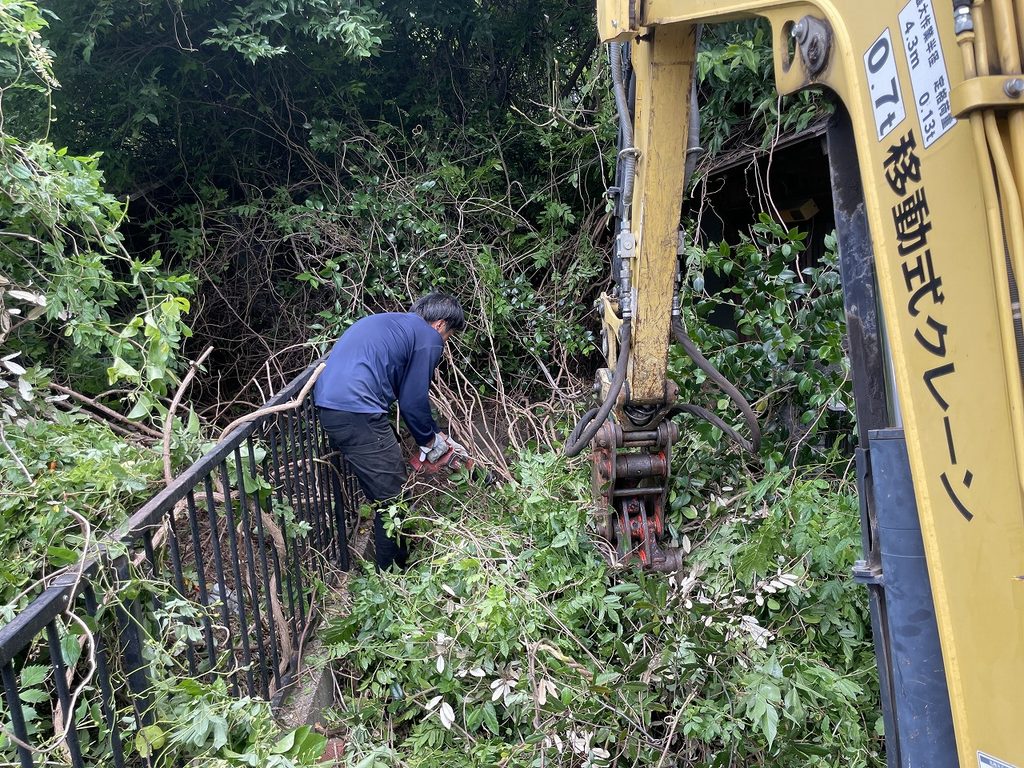 通路の雑木の伐採