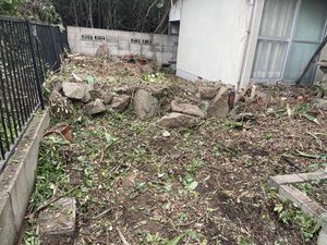 伐採・草刈り工事完了