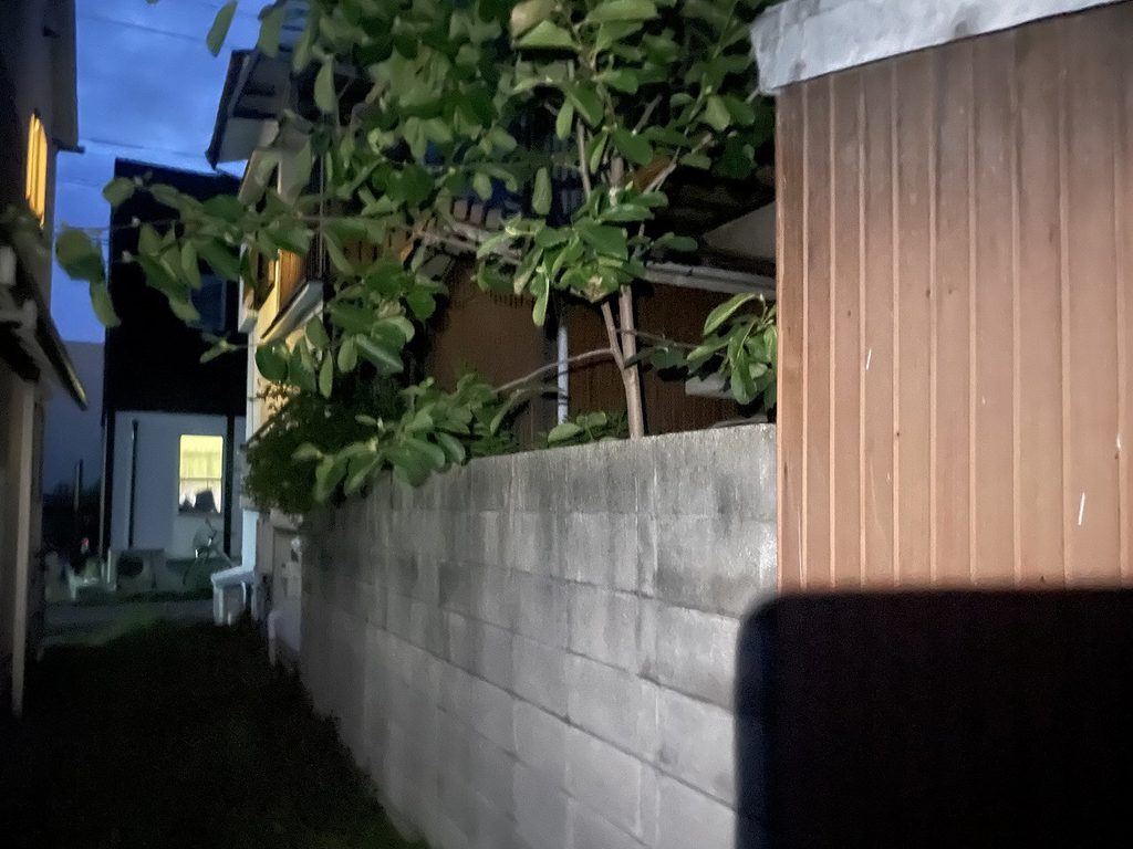 現調・草刈り前