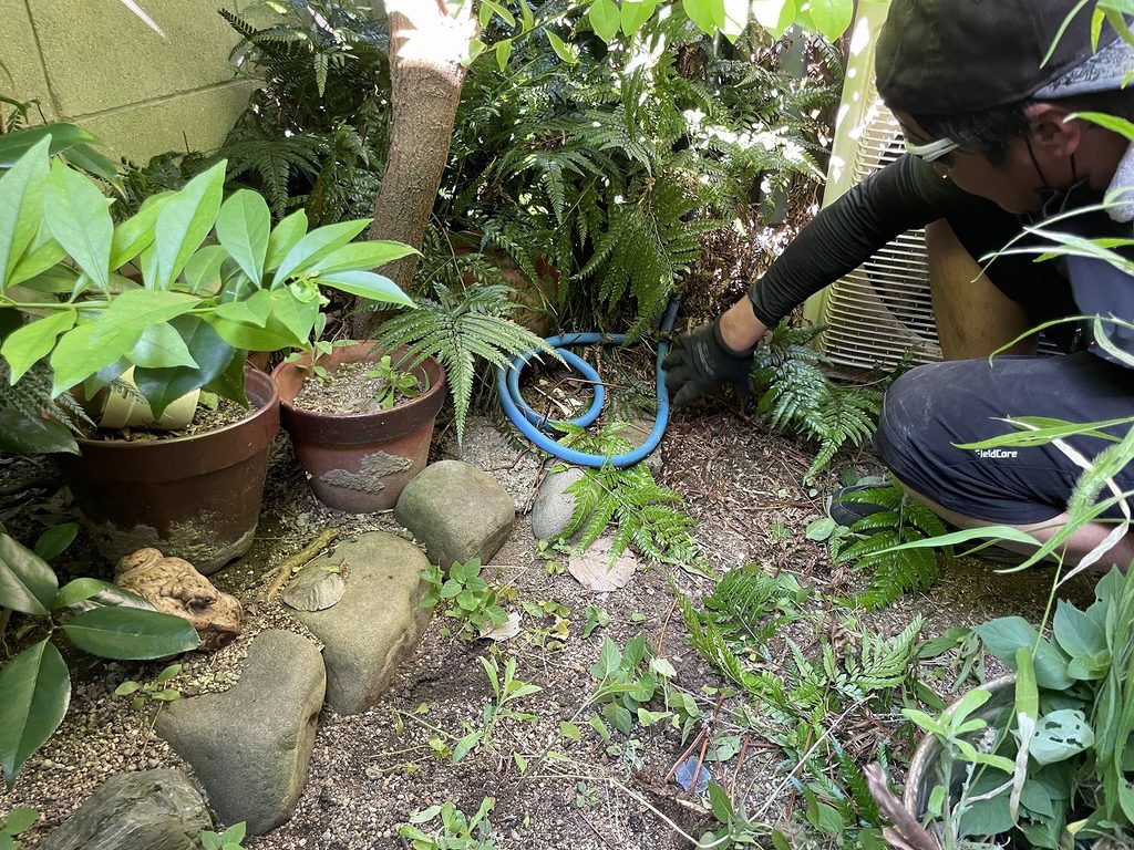 庭の除草と雑木伐採