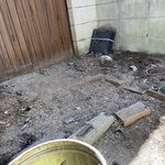 伐採・草刈り工事完了